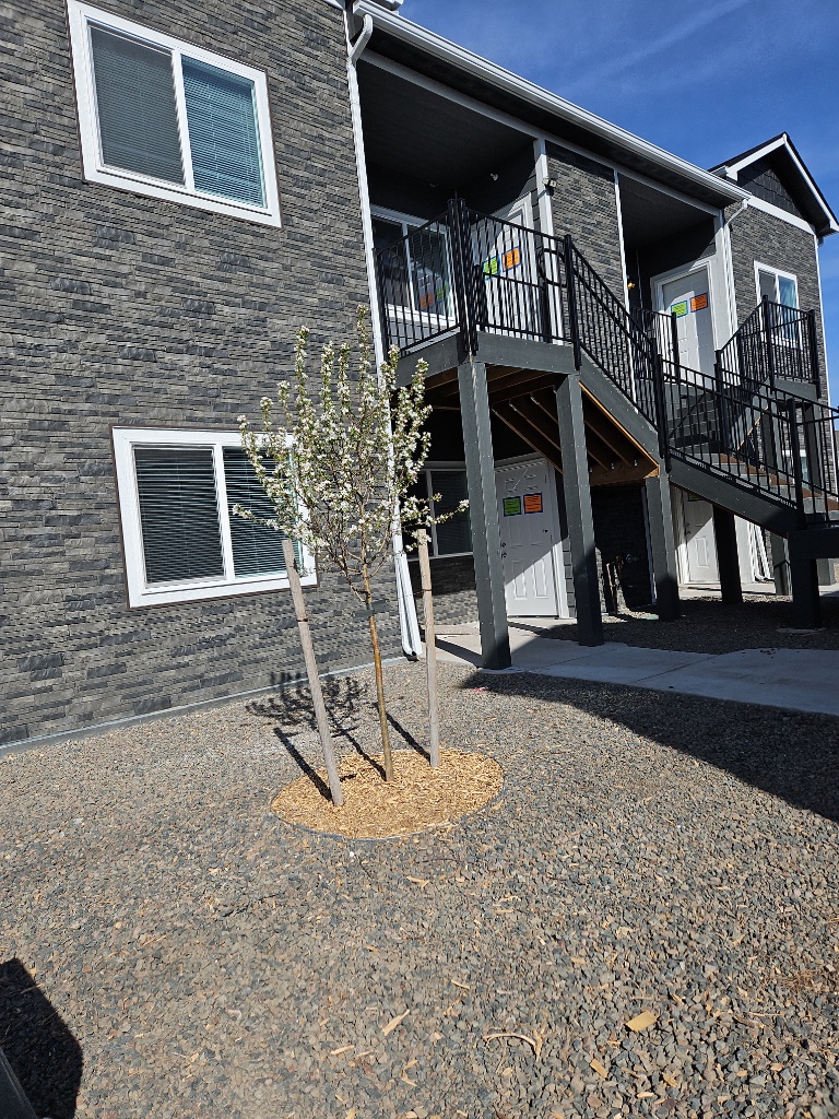 1615 Grand Harmony Boulevard - 102