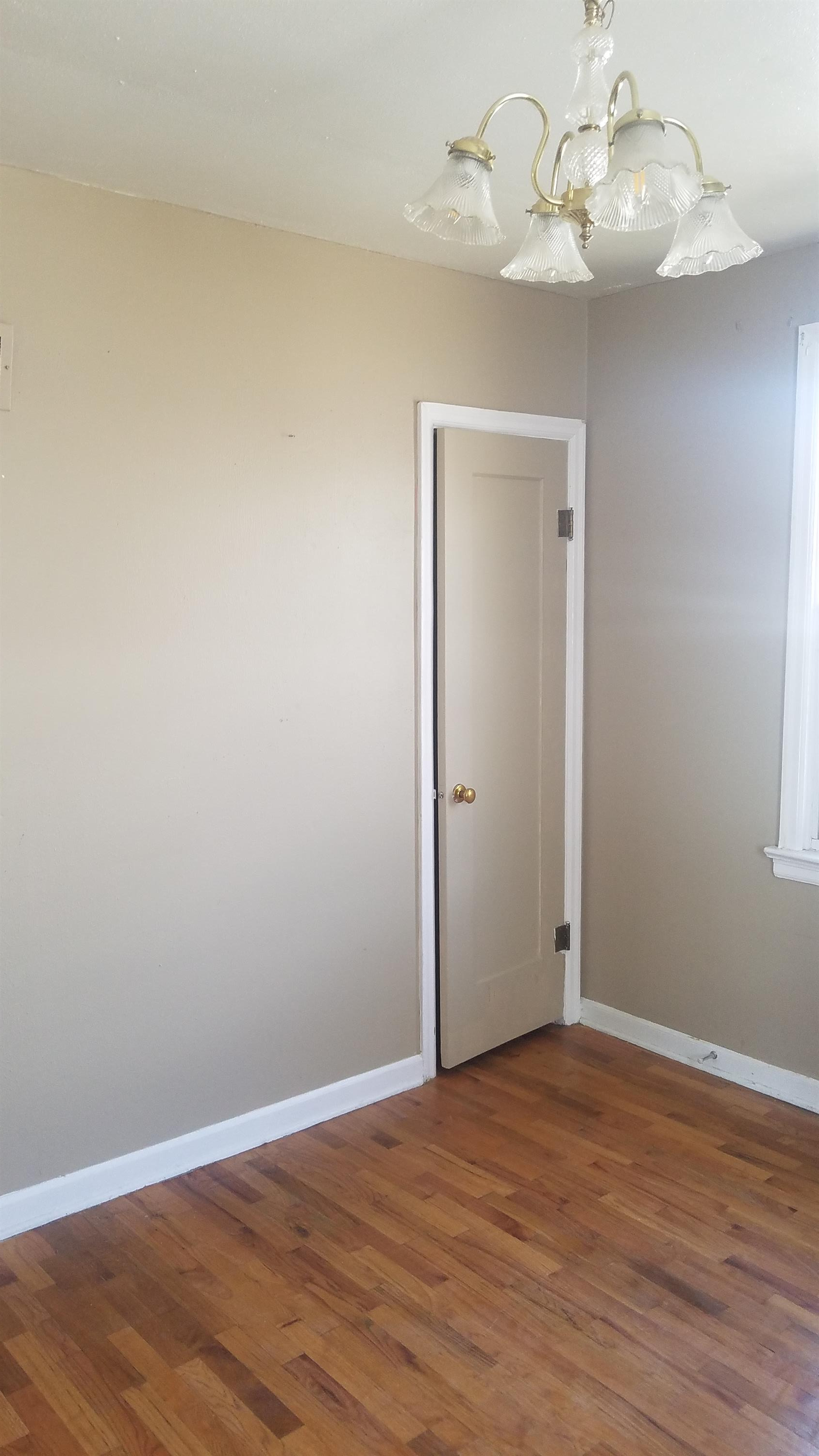Rentals 6