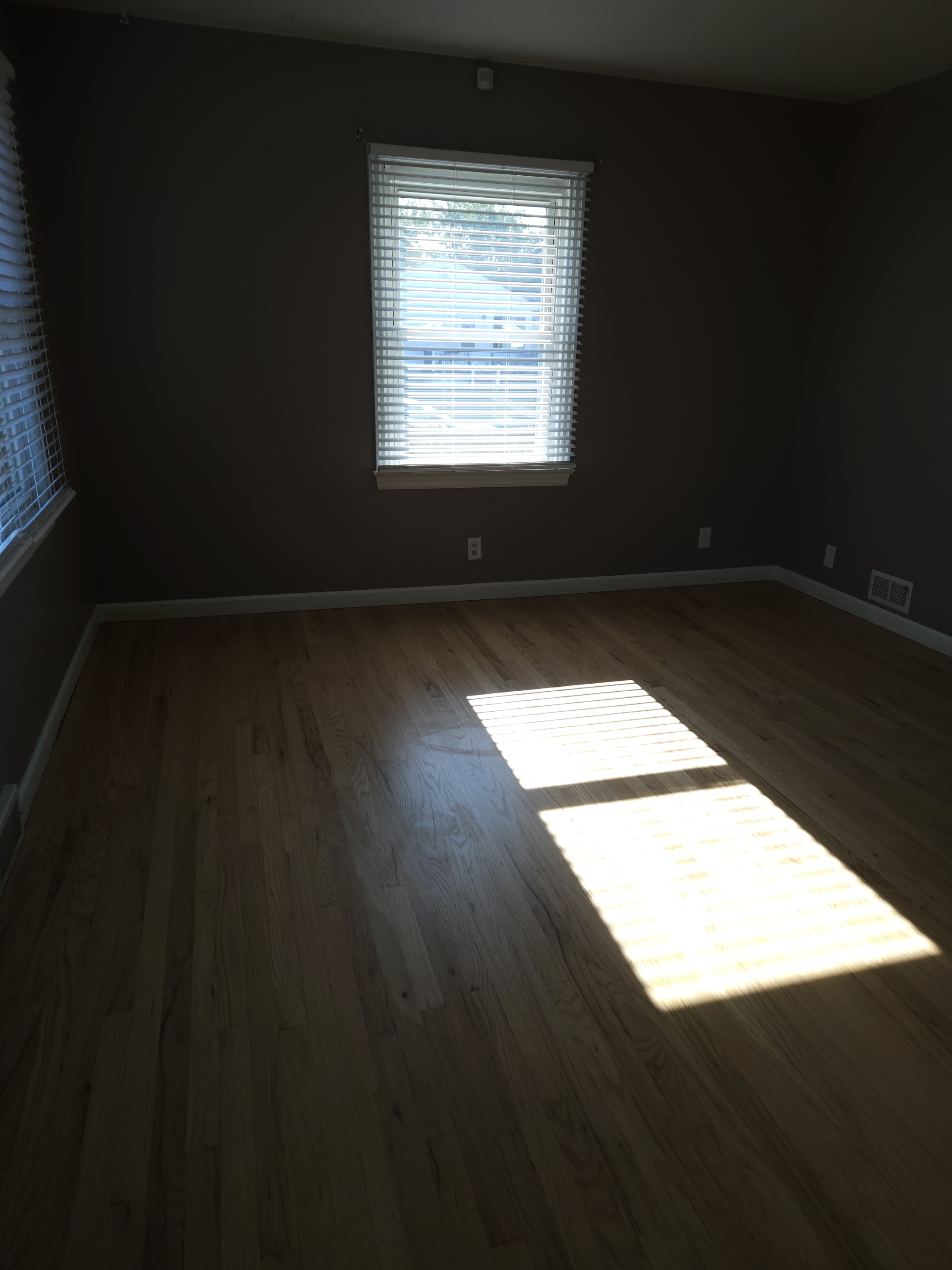 Rentals 6