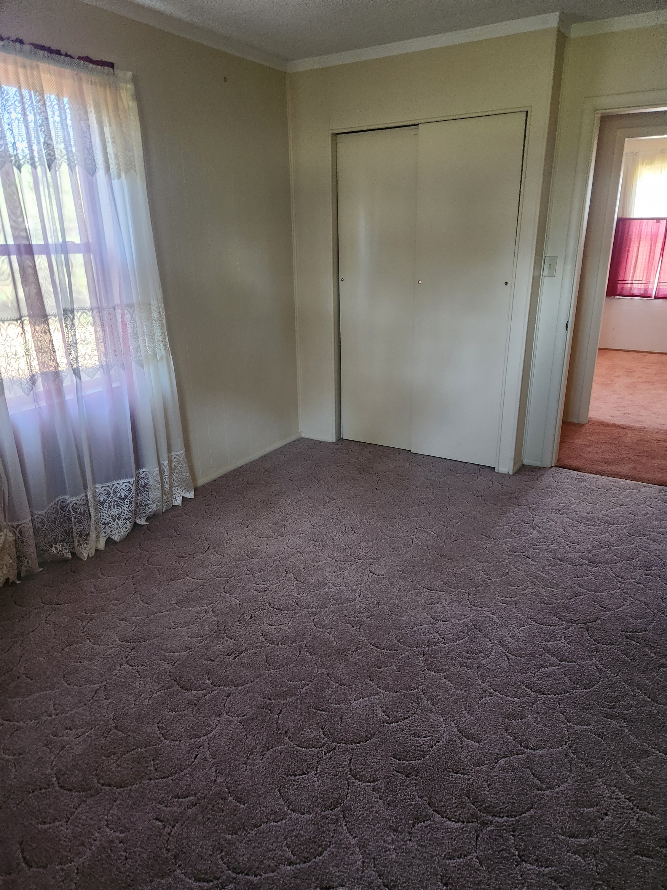 Rentals 5
